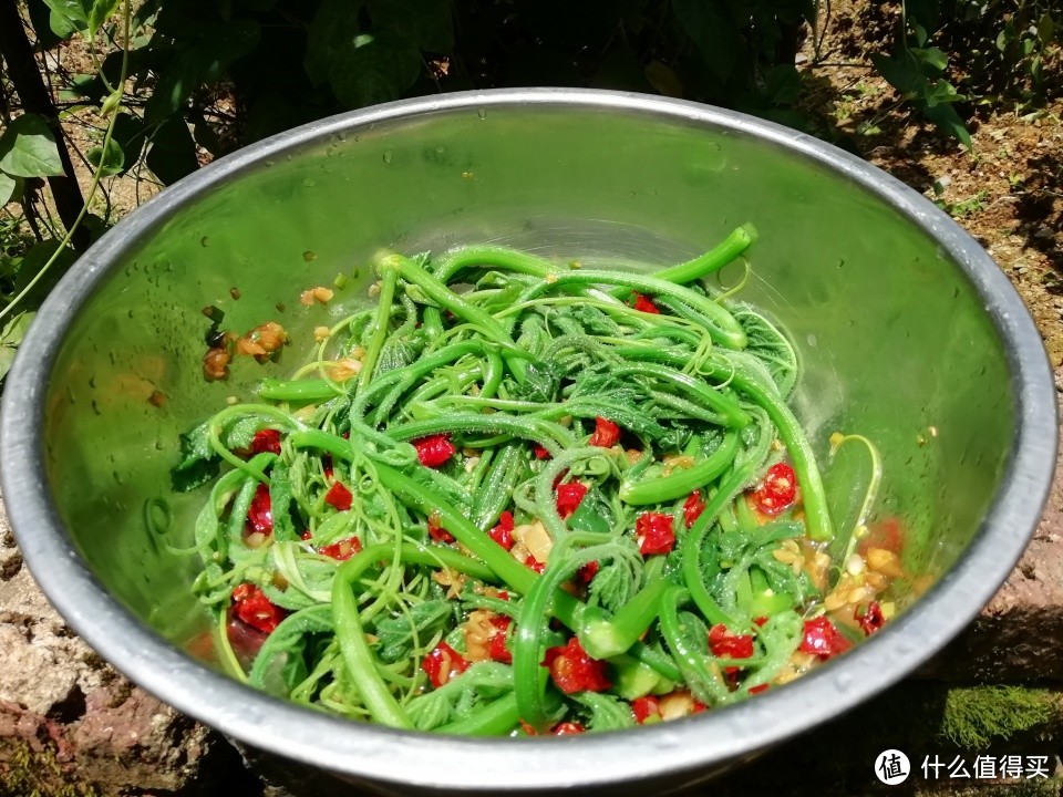 这菜浑身都是宝，夏天要常吃，对咳嗽特别好，不懂吃真的亏了！