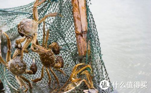 苏州阳澄湖农家乐 美景美味好地方