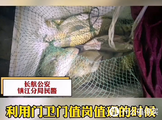 江苏两男子串通保安，在江豚保护区电鱼，网友：胆子真够肥的