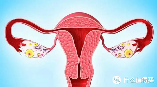 当备孕遇上输卵管堵塞，是先手术还是直接试管？