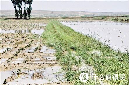 郑州遭遇大降水，保险可以做什么？