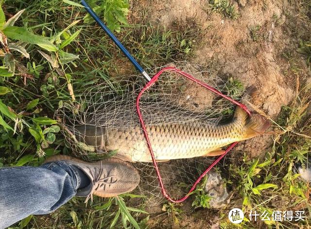 夏季大雨后外出钓鱼，蚯蚓好还是饵料好？老钓友：能诱鱼聚鱼最好