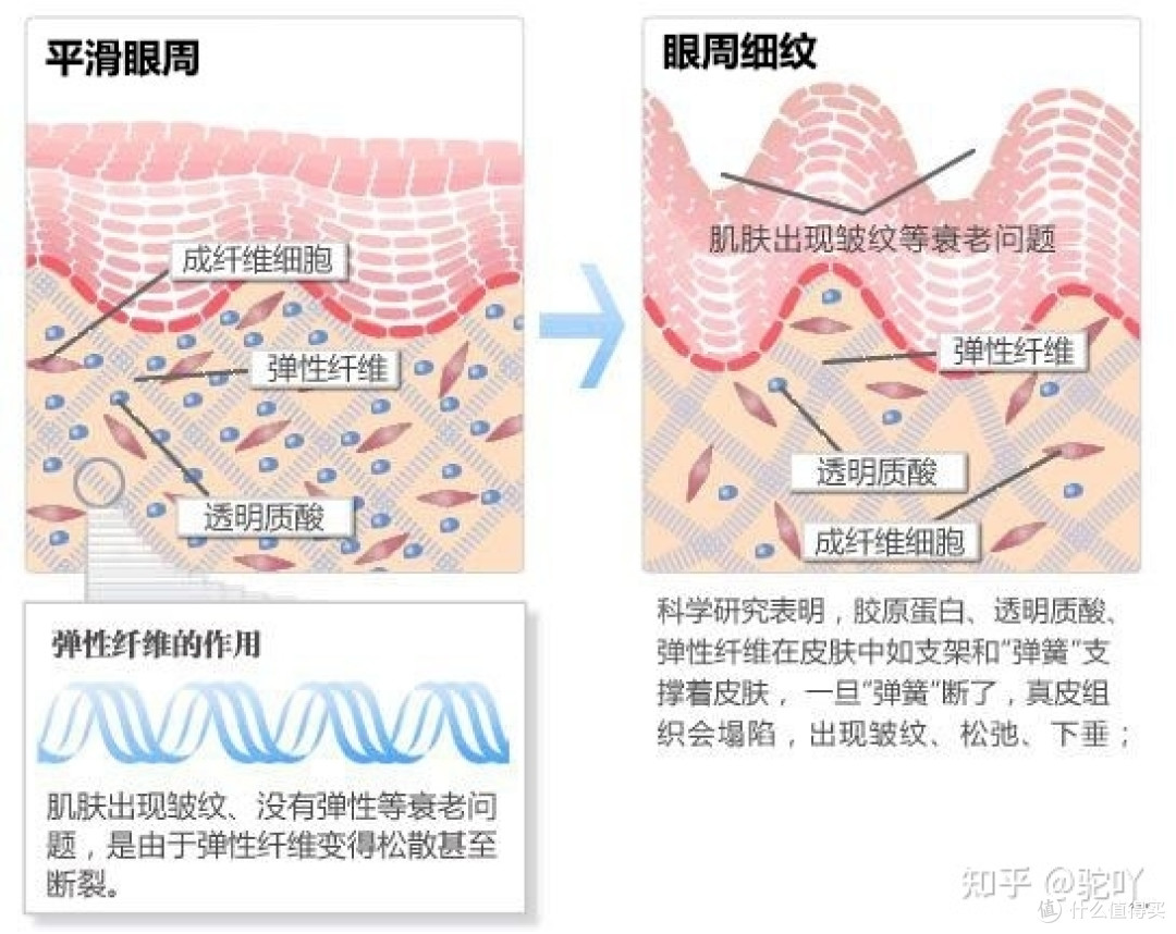孕妇眼霜什么牌子好？孕妇眼霜去细纹有什么推荐的产品吗？