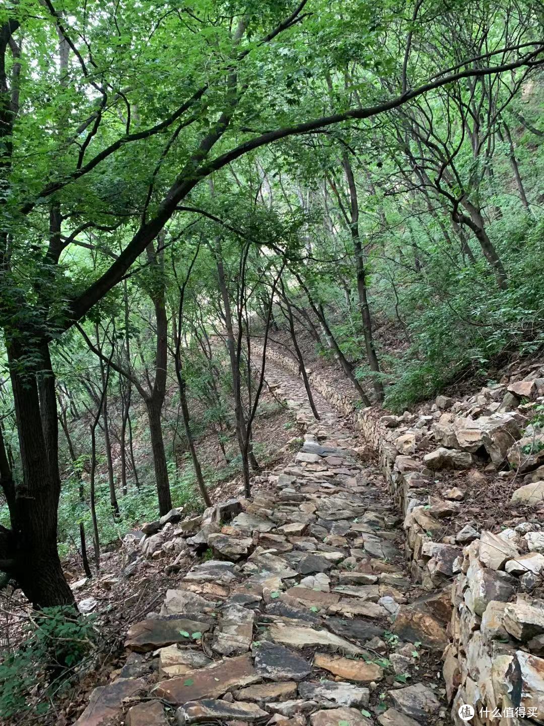 下山一路都是这样的石头路，有点滑，大概走了20分钟，小腿还是有点累的。