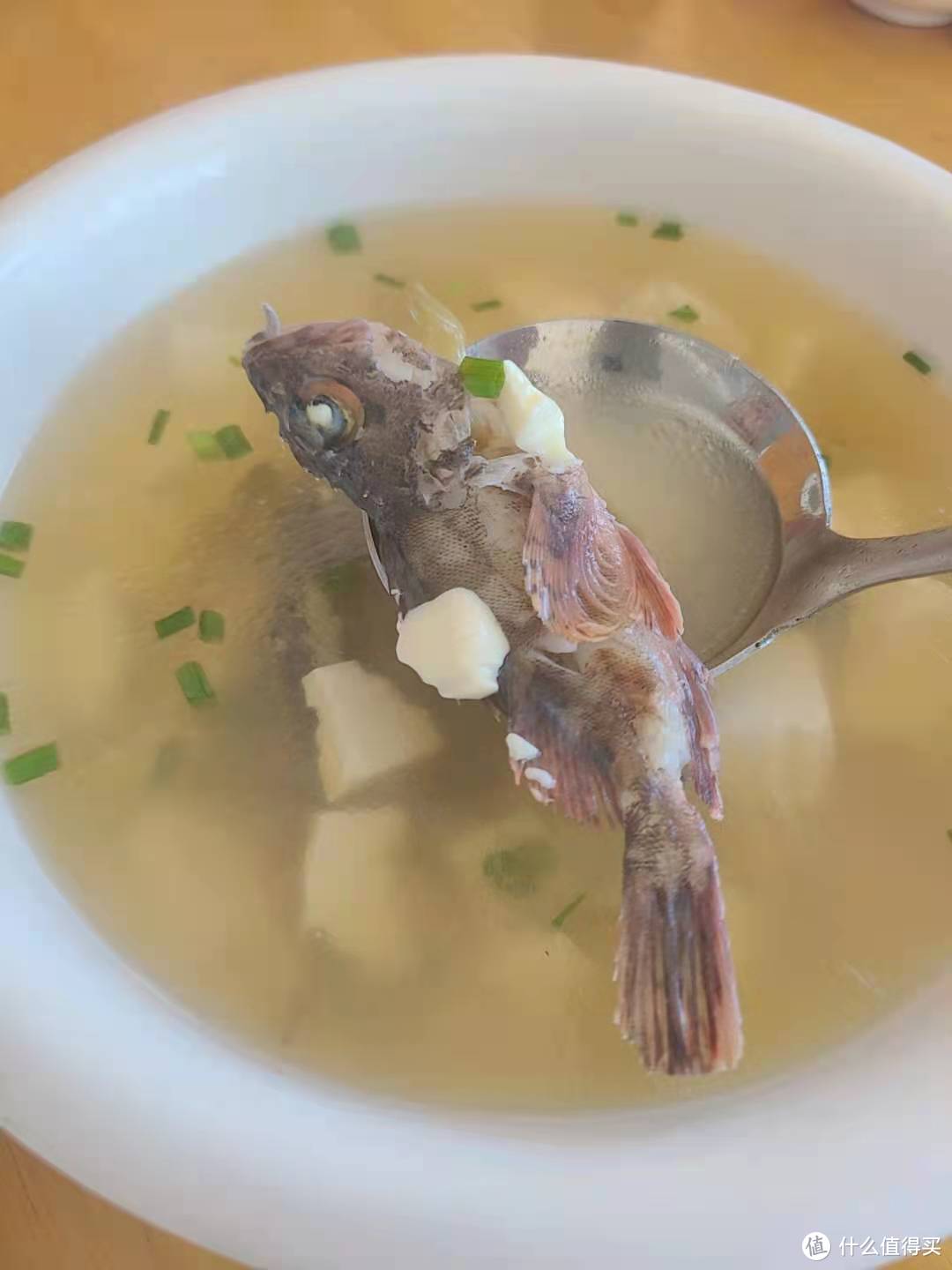 虎头鱼豆腐汤，肉嫩刺多