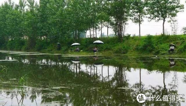 钓鲢鳙总抬竿无鱼？上钓下锚——钓与锚两者结合，有效提升上鱼率