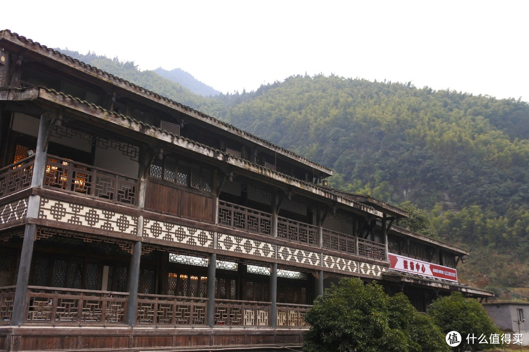  夏日忆雪---重庆南川金佛山赏雪记