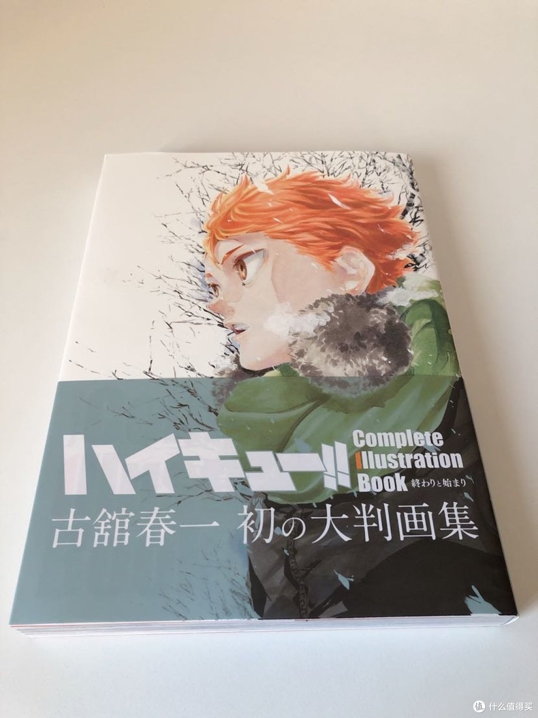 漫画篇八 排球少年日文原版完全插画集 漫画 什么值得买