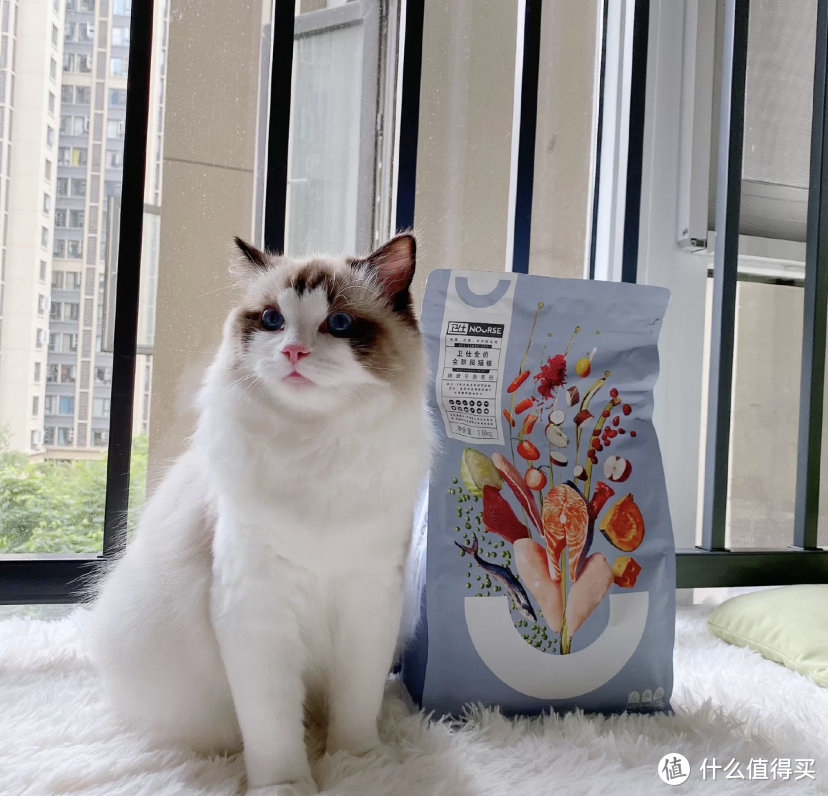 全价猫粮什么意思，国产猫粮排行榜