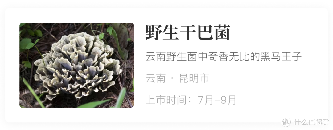 风物推荐7.28｜藏在干巴菌“丑陋皮囊”下的，是卓尔不群的鲜美味道