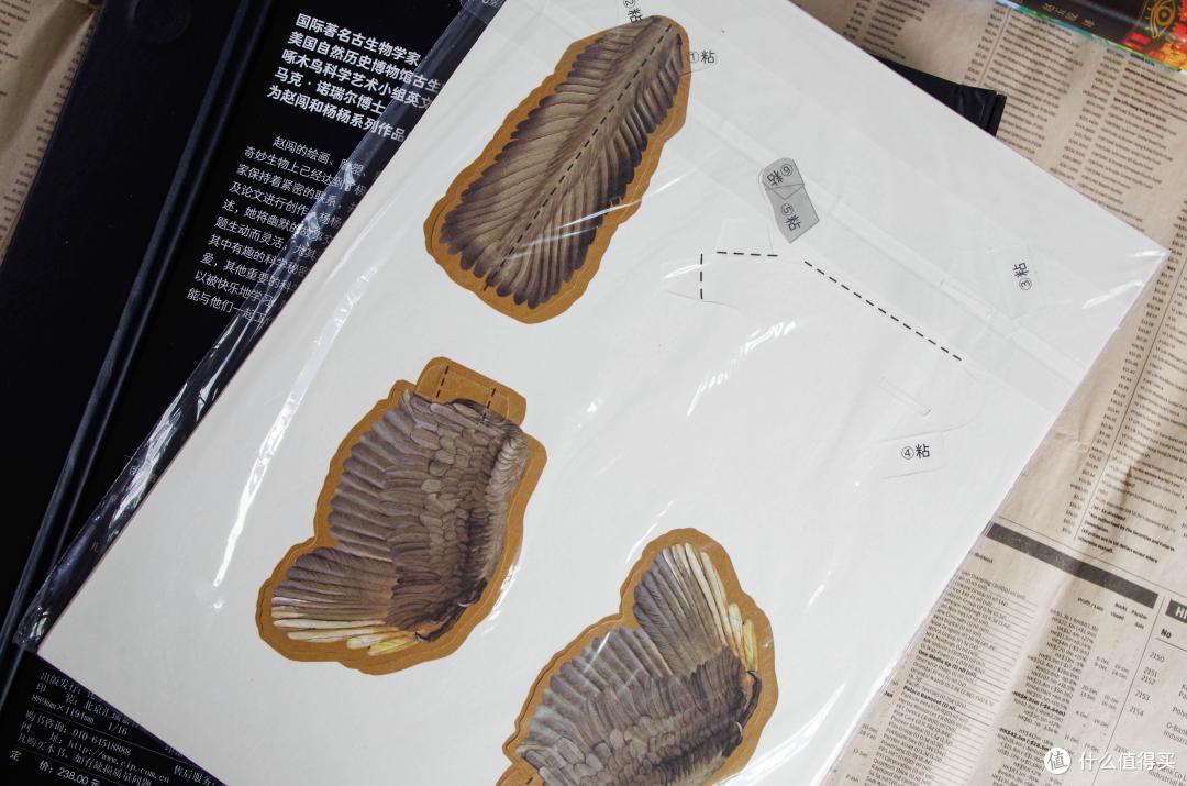 河边谈书篇一百零一 暑假伴读 从恐龙立体书到 千与千寻 龙猫 漫画再到天文学 图书音像 什么值得买