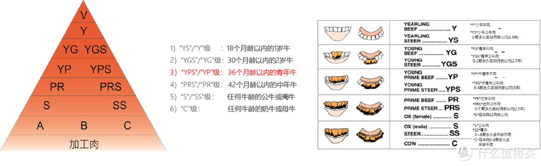 买牛排之前，可以先看看这个攻略，关于牛排一些我知道的知识点（附部分好吃的牛排推荐）