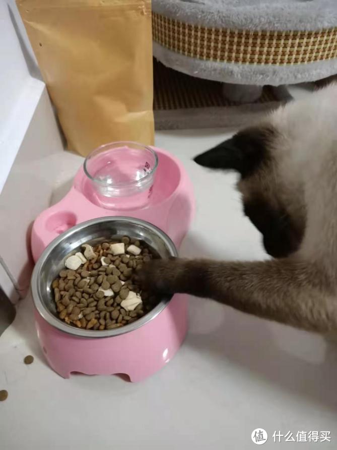 猫咪异食癖可能是微量元素缺乏，猫粮排行榜这款猫粮值得推荐