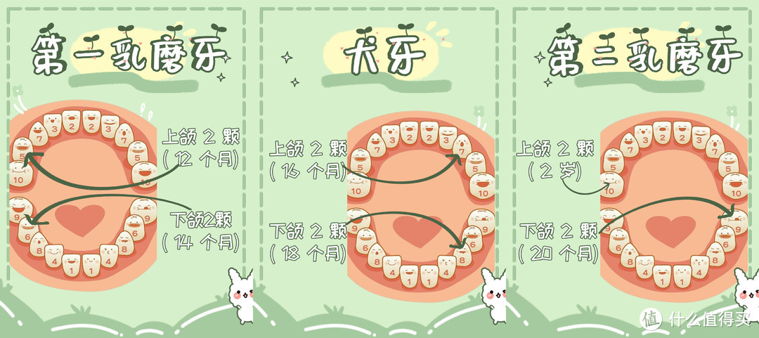 从小拥有一口小白牙，宝宝口腔护理这样做