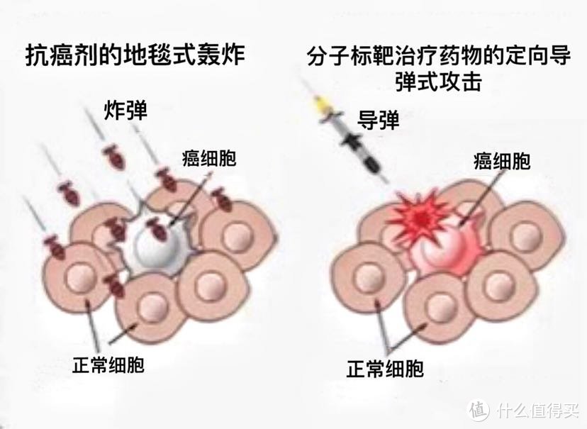 靶向药有多重要？达尔文5号荣耀版，癌症患者的福音﻿