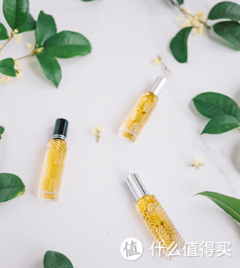 仙女必备！只要几十元，就能把全杭州的桂花带回家