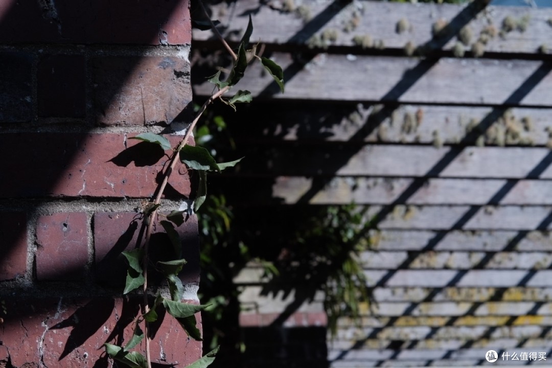 螺纹掠影(18):EBC Fujinon Macro 55mm F3.5