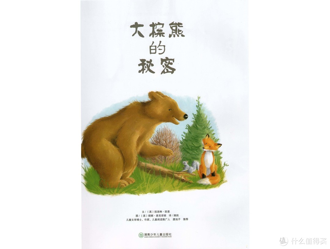 宝宝绘本 | 大棕熊的秘密
