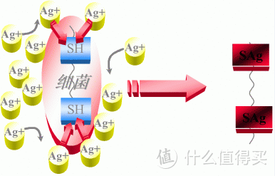 洗地机的天花板？添可芙万一代二代slim4种机型全面对比！