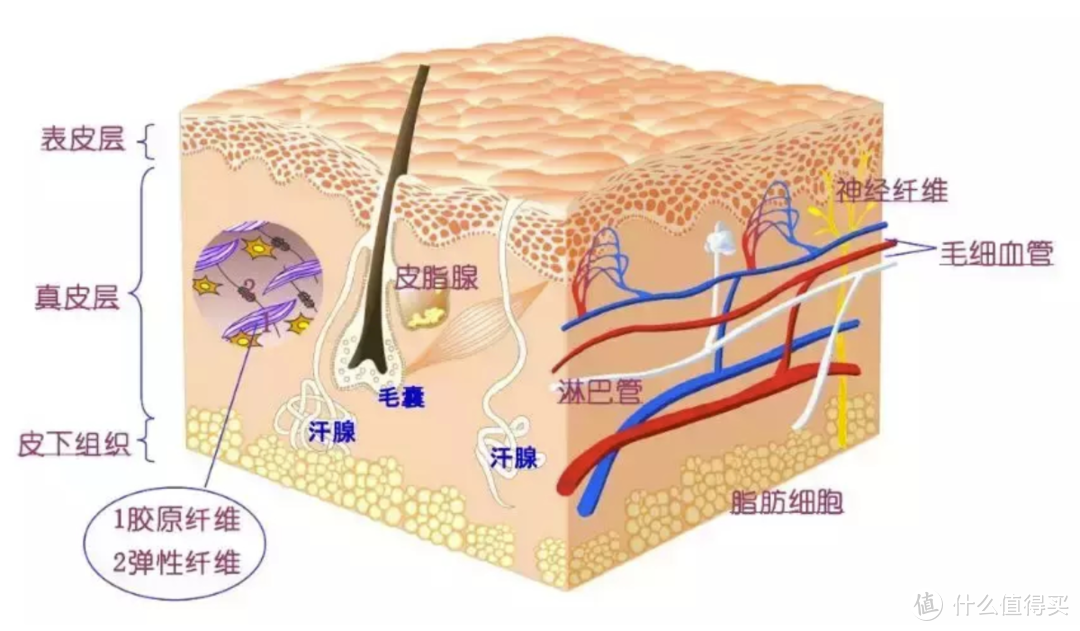 老男人的护肤起步 ~ 来自韩国的EQQUALBERRY盈润平衡水乳套装使用体验