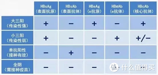 ⑤hbcab(乙肝核心抗体④hbeab(乙肝e抗体③hbeag(乙肝e抗原②hbsab