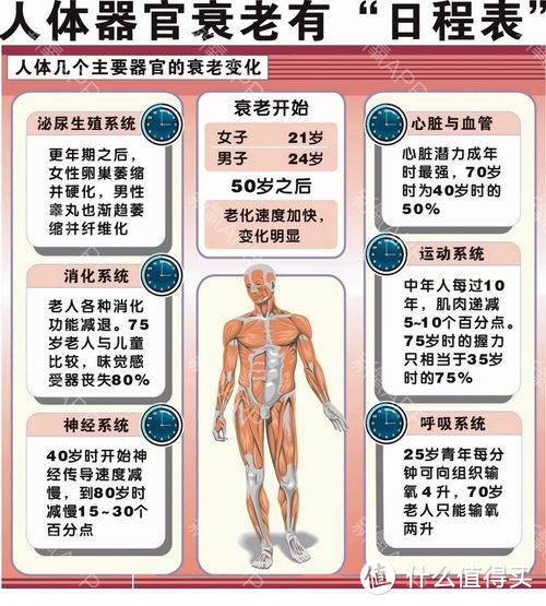 一文读懂：什么是衰老？什么导致了衰老？延缓内部衰老的办法有哪些？