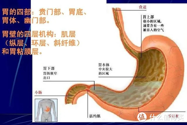 胃部有疾病容易投保吗？看这里！