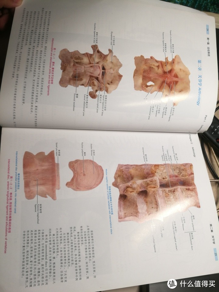 人体解剖图+普通动物学+植物学：硬核生物学习教材，送给求知的你