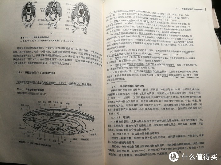 人体解剖图+普通动物学+植物学：硬核生物学习教材，送给求知的你