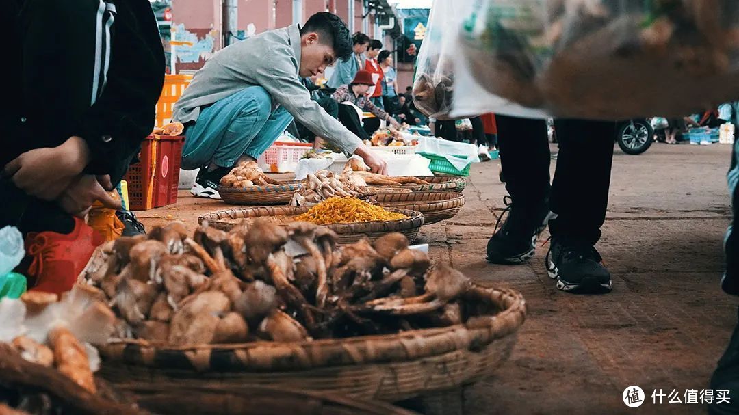 位于云南昆明的木水花野生菌交易中心，是中国最大的野生菌交易市场。©图虫创意