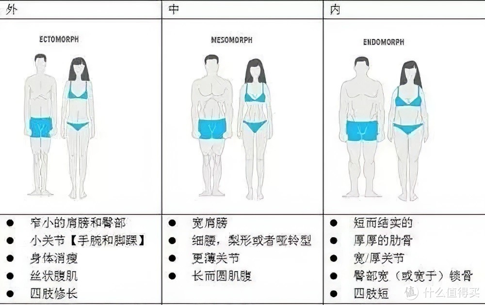 纯干货！一起来学习科学减肥增肌吧