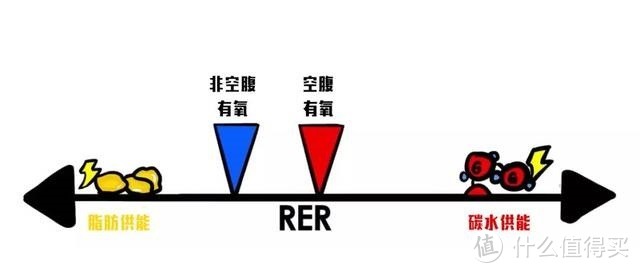 纯干货！一起来学习科学减肥增肌吧