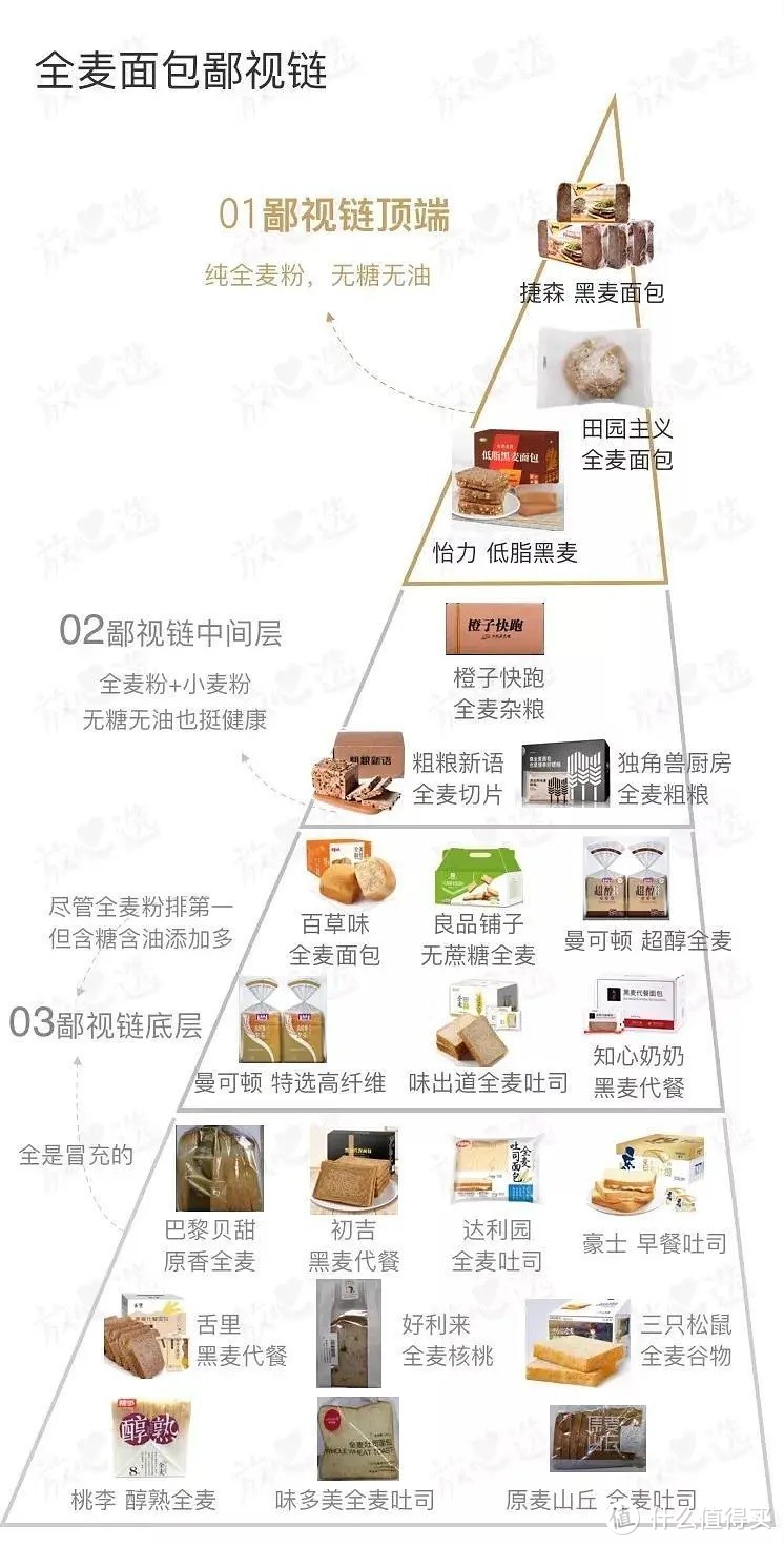 纯干货！一起来学习科学减肥增肌吧