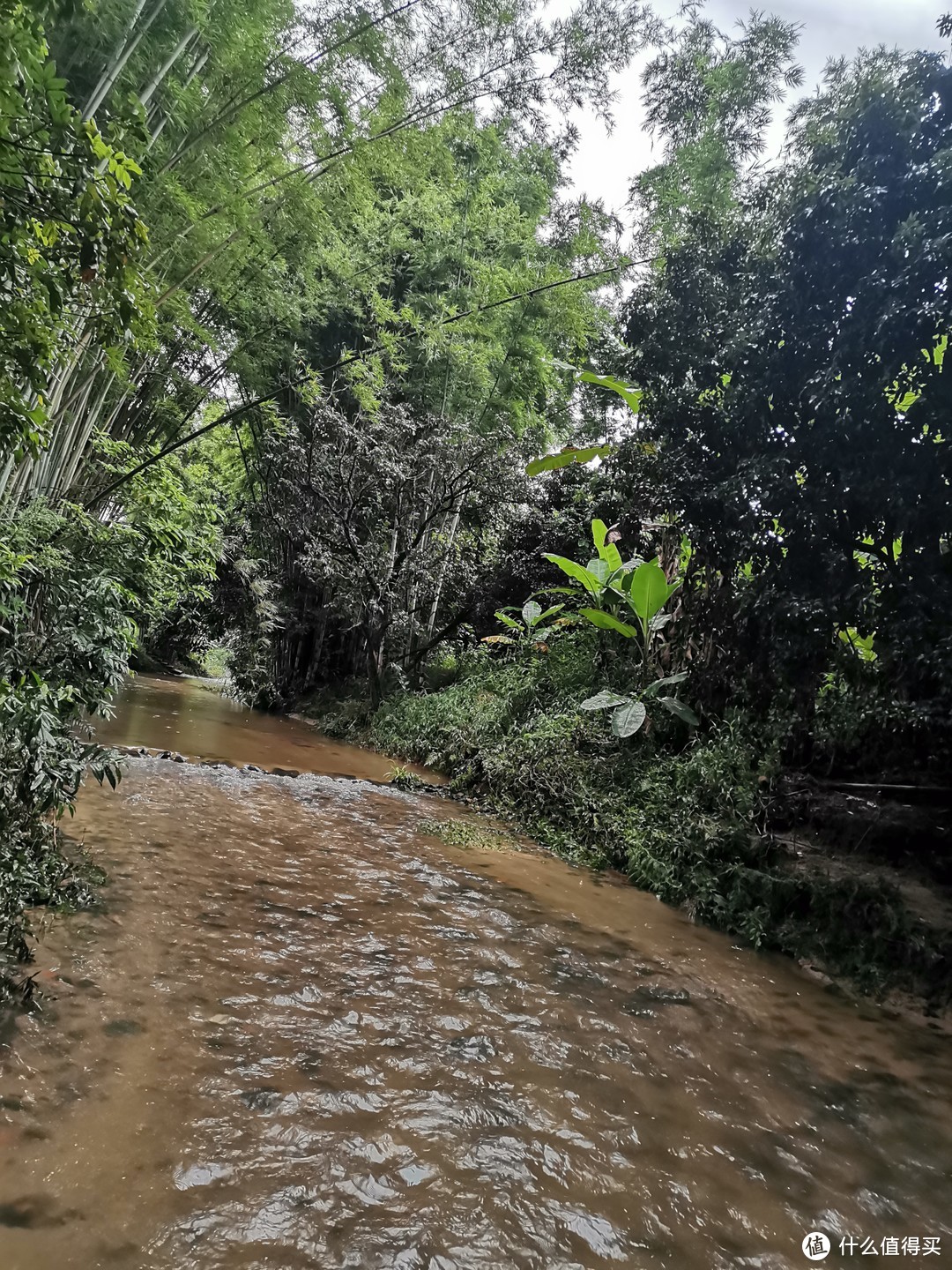 玩水，就是孩子对暑假旅行唯一的要求，从化自驾游流水帐