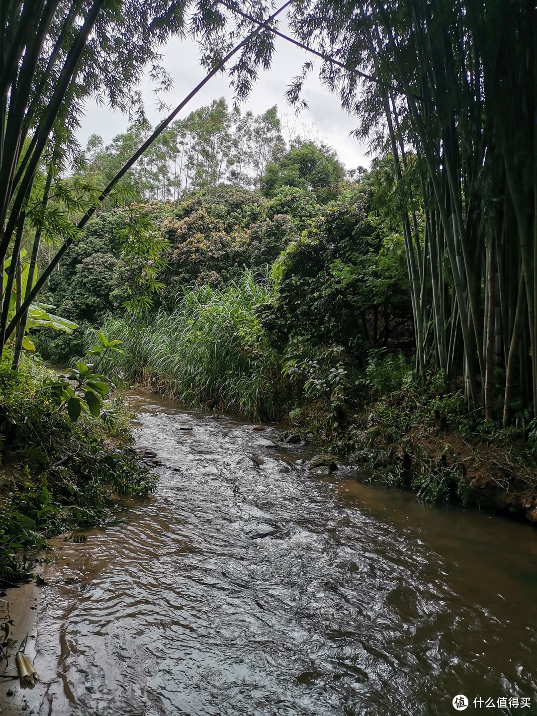 玩水，就是孩子对暑假旅行唯一的要求，从化自驾游流水帐