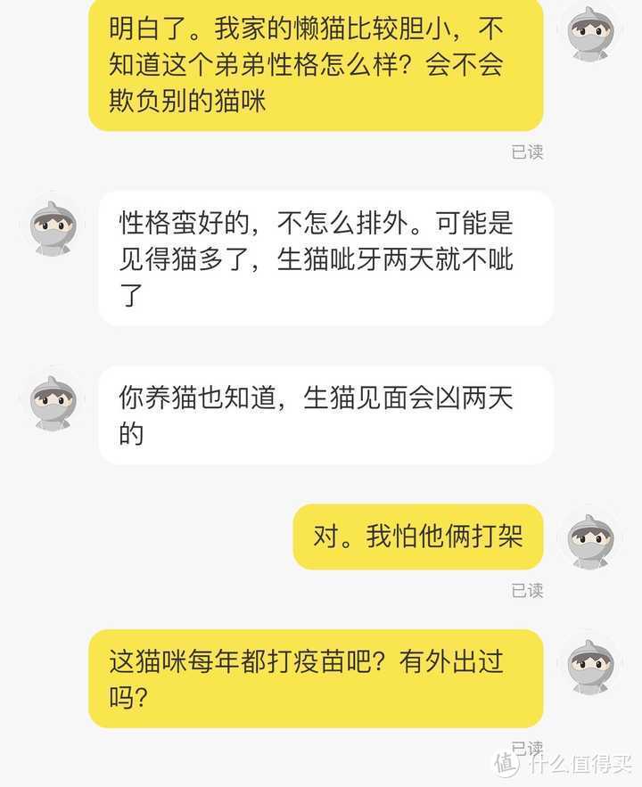 买猫攻略丨如何花500块淘到一只纯种的银渐层？