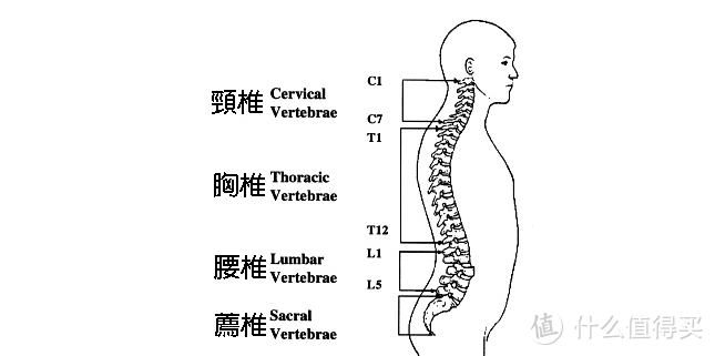 好物推荐：八九间人体工学椅，适合的才是对的