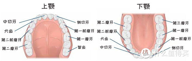 后牙上长了一条黑线是怎么回事？医生提醒：等到变成深龋就真的要命又要钱了