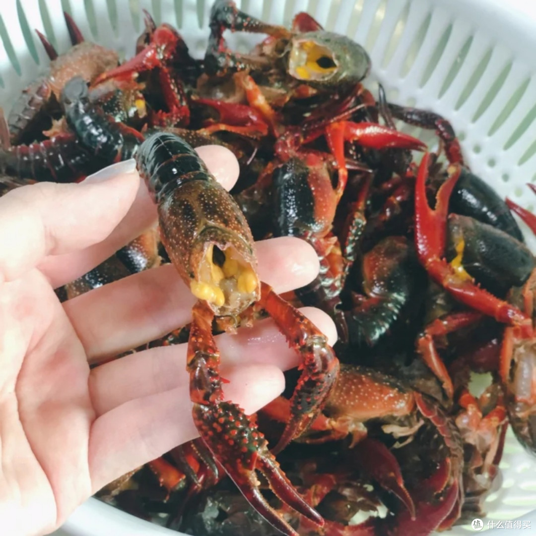 处理小龙虾时,刷洗有讲究,牢记"3个步骤",虾壳洗净无泥腥味