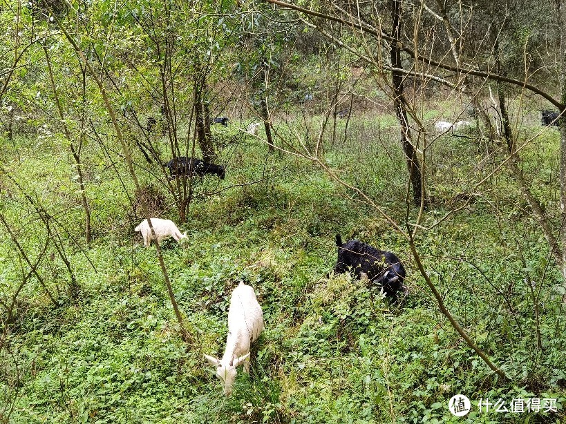 重庆武隆大足及终结篇