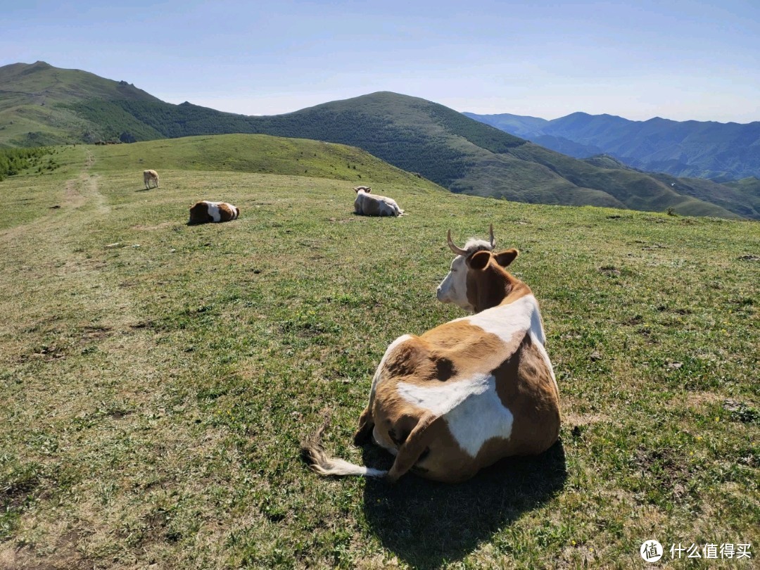 五台山是场人生修行          ——修的一颗不污不垢平和的心