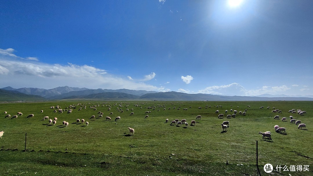 回程祁连草原的牛羊群