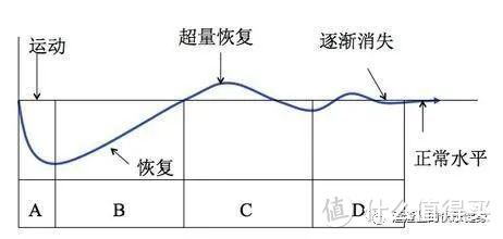 增肌为啥这么难？这里有你想要的答案！