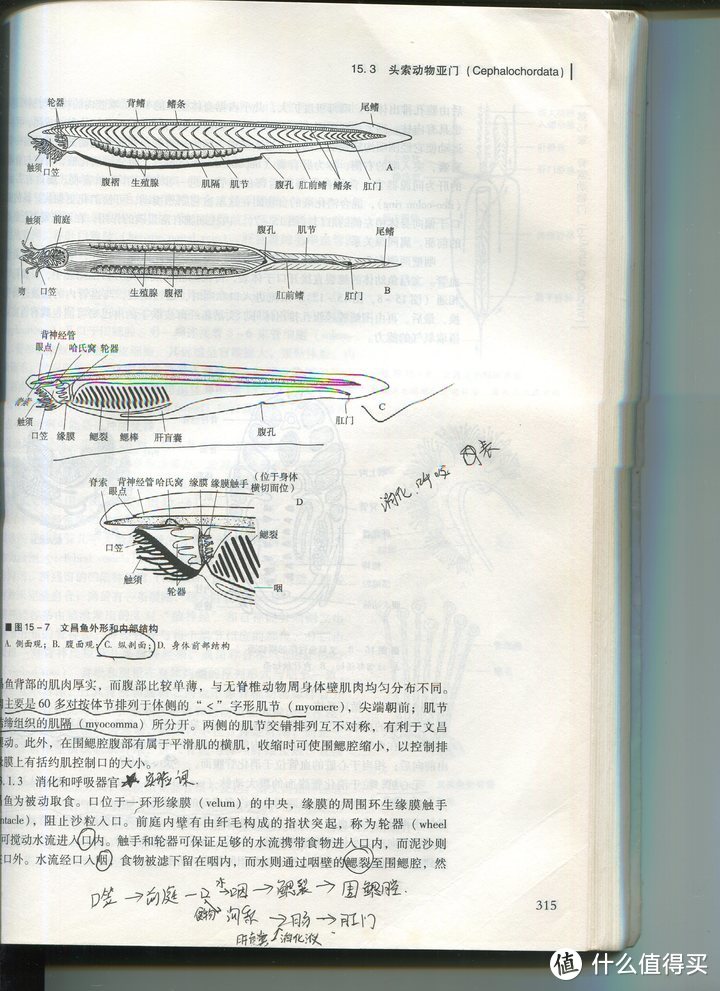 100包邮的EPSON V300扫描仪开箱测评