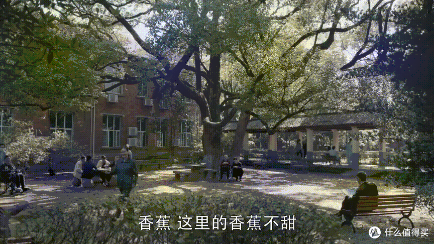 曾经轰动全中国的马王堆西汉古墓就是从这个医院里的一个小山头下挖