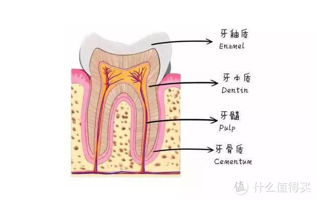 不懂就问：美白牙贴是智商税吗？为什么有的人不能碰！