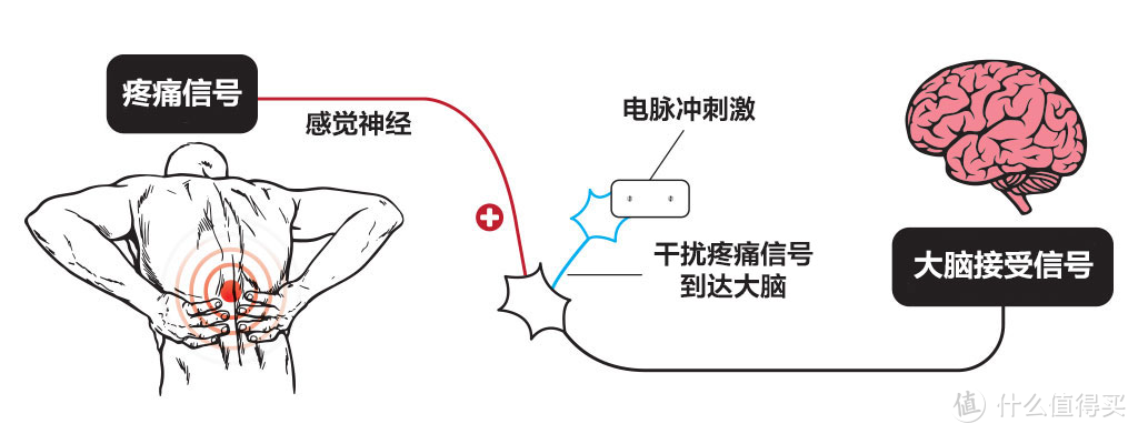 不同的脉冲式颈椎按摩仪有什么区别？横评两款热门产品给你答案