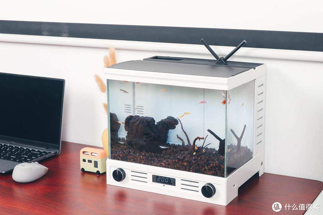 汉霸电视鱼缸评测：智能语音系统，一款适合“懒人”的桌面小鱼缸
