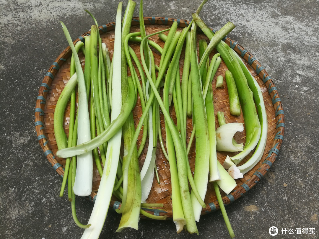 这菜北方人当垃圾扔，南方人当宝，晒干炒肉吃真香，别浪费了