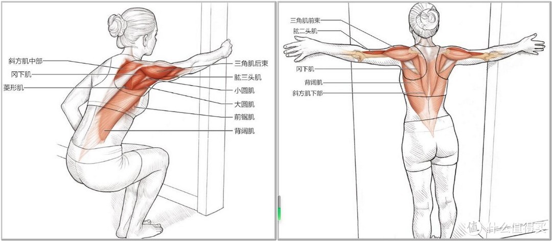 背部的拉伸